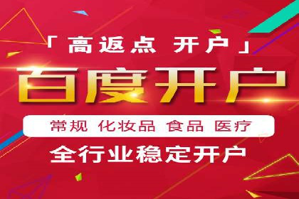 SEM竞价推广案例：打造行业领先的广告投放策略